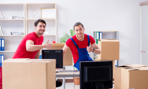 Professional Packing Services